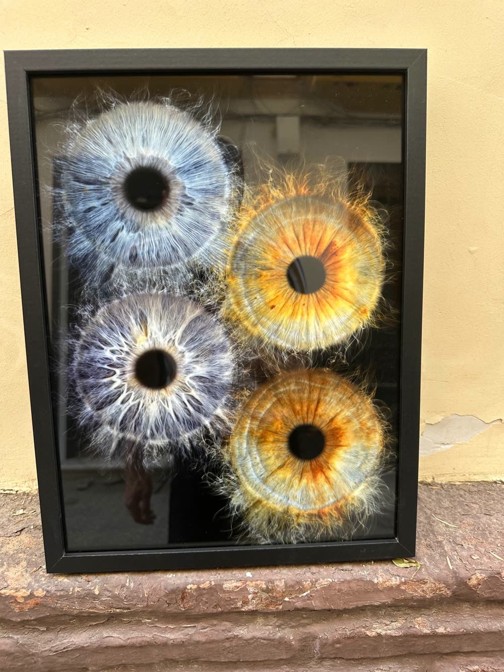Iris Mobile Frame, A3 — photo 4 of 4